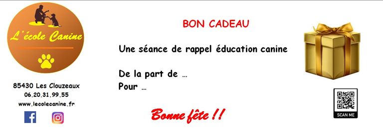 séance de renforcement des apprentissages comportementaliste chiens