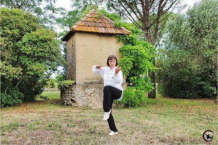 Cours qi gong et tai chi pour particuliers a bourgoin