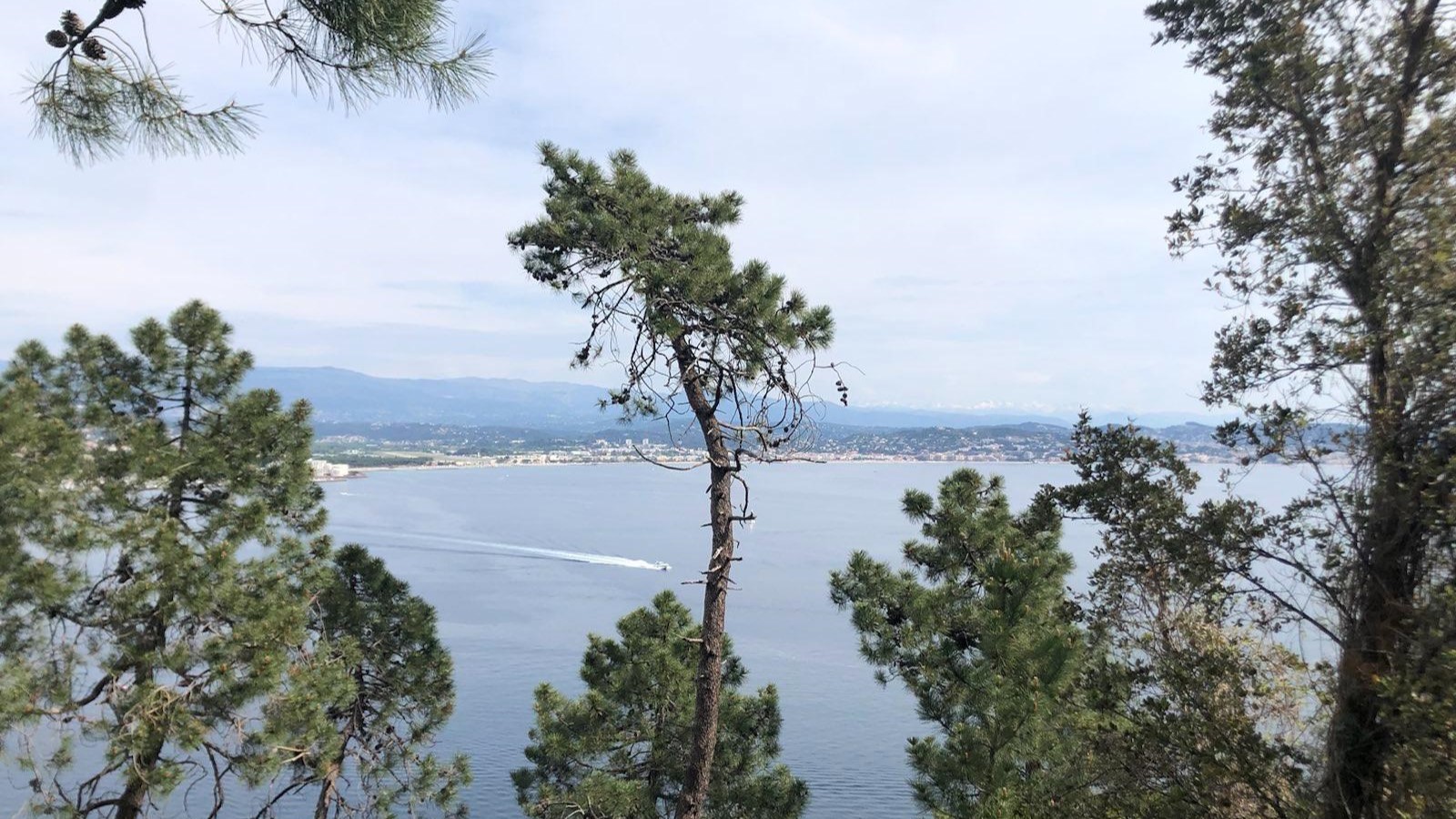 Signal 2023 04 22 174749 011