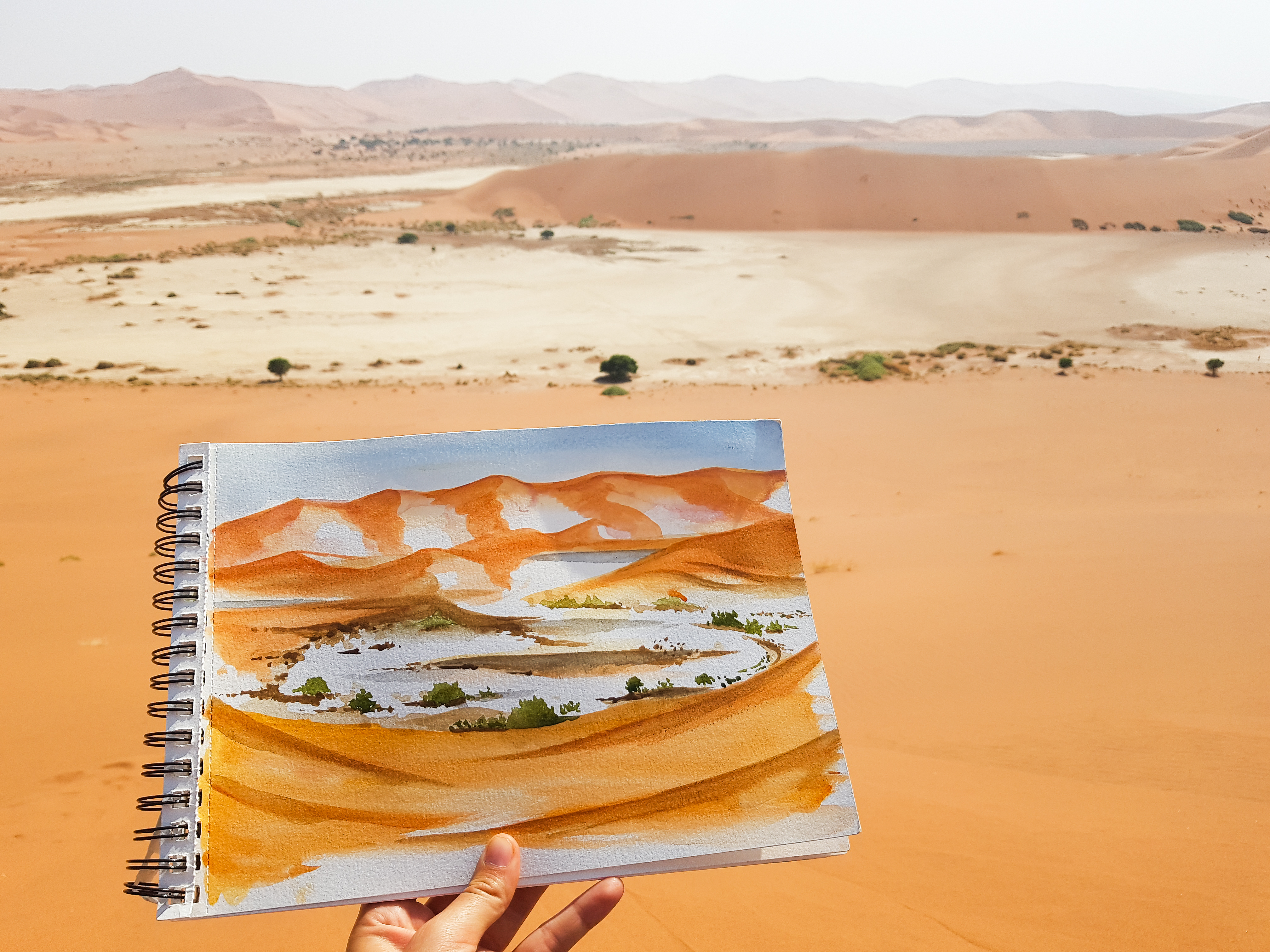 Desert du namib 095117