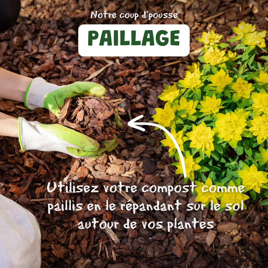 Post insta conseil du mois 