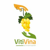 Logo-vitivina-2017-cmjn