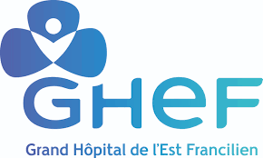 Logo GHEF-header