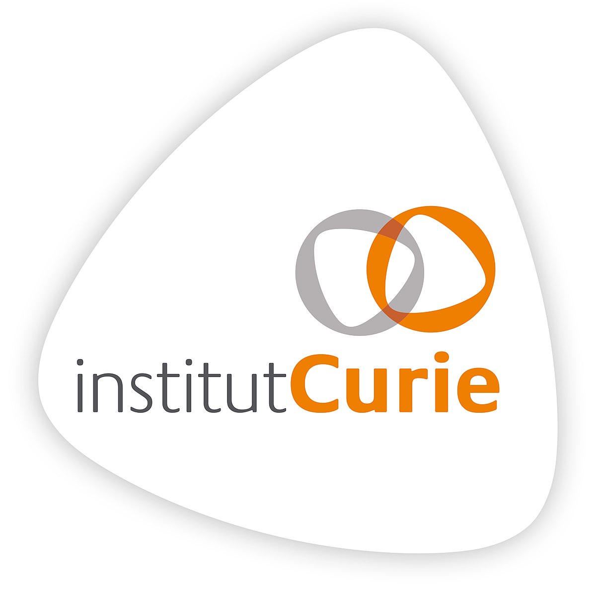 1200px-Logo Institut Curie