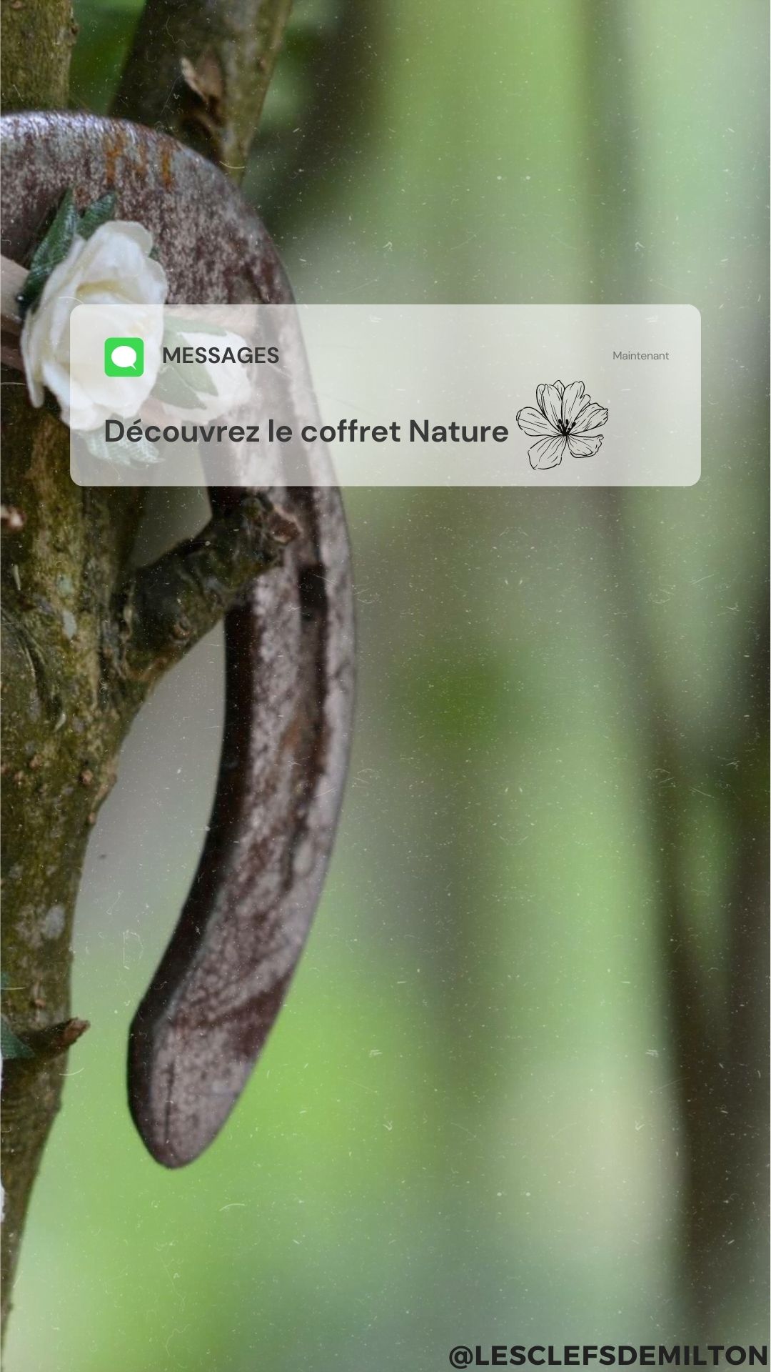 Lcdm-2023-pack-nature-