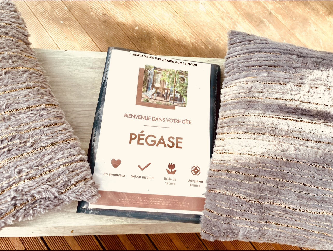 Pegase 2023 1