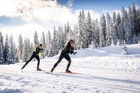 Ski-de-fond