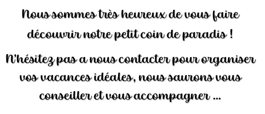 Sans-titre