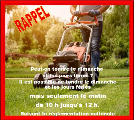 Tondre-le-dimanche