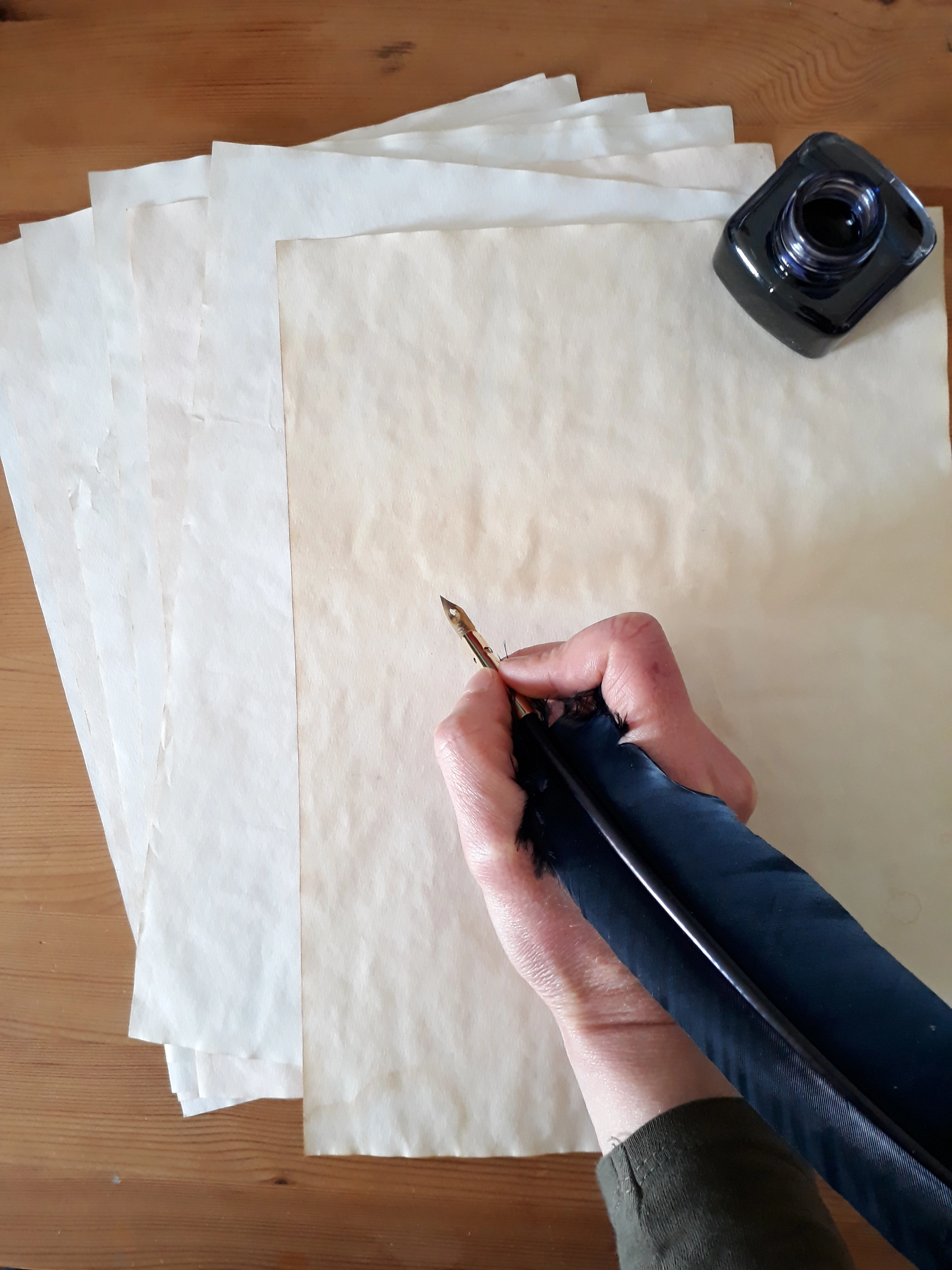 La main de Sabrina avec sa plume bleue, des feuilles et un pot d'encre. 