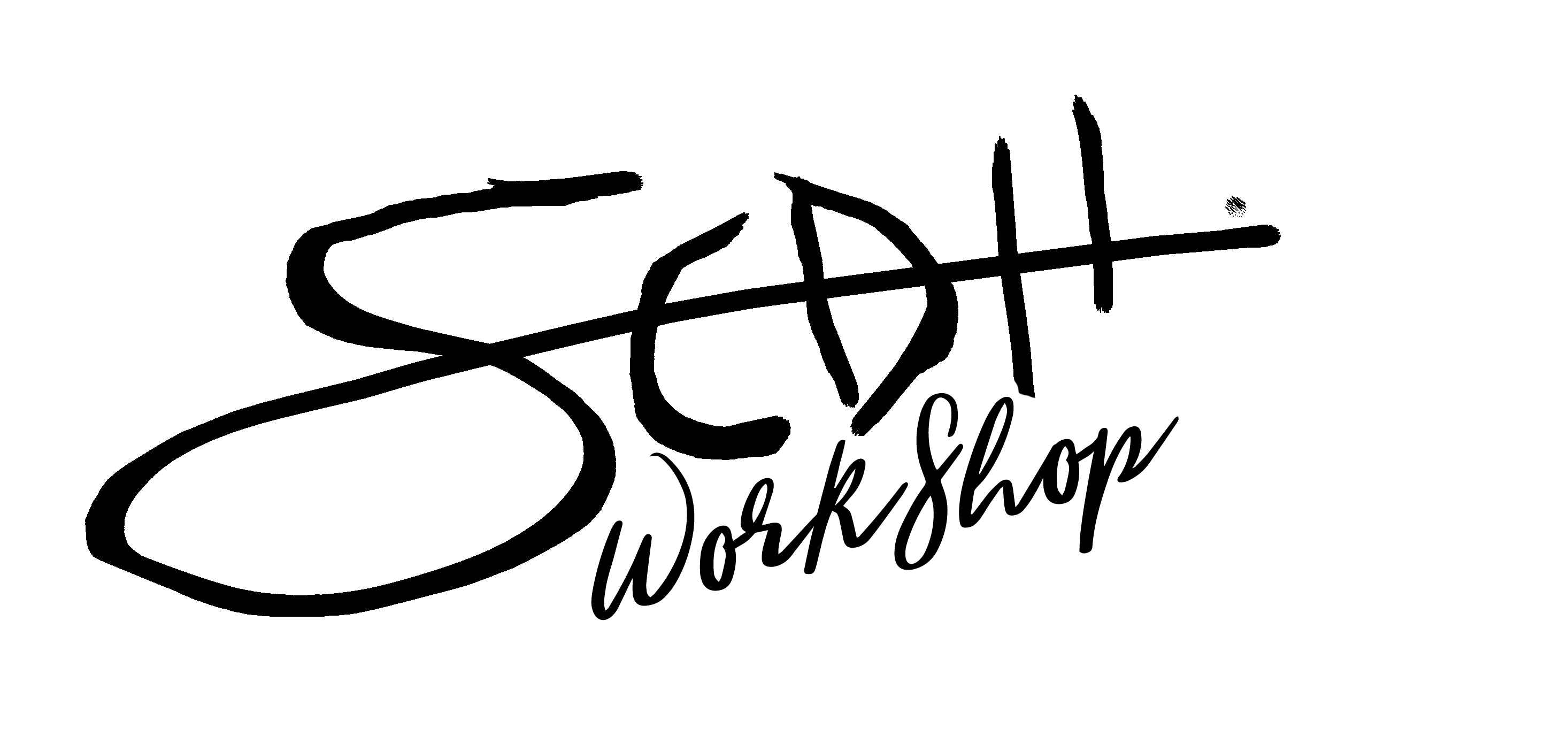 Sedh logo 1 noir