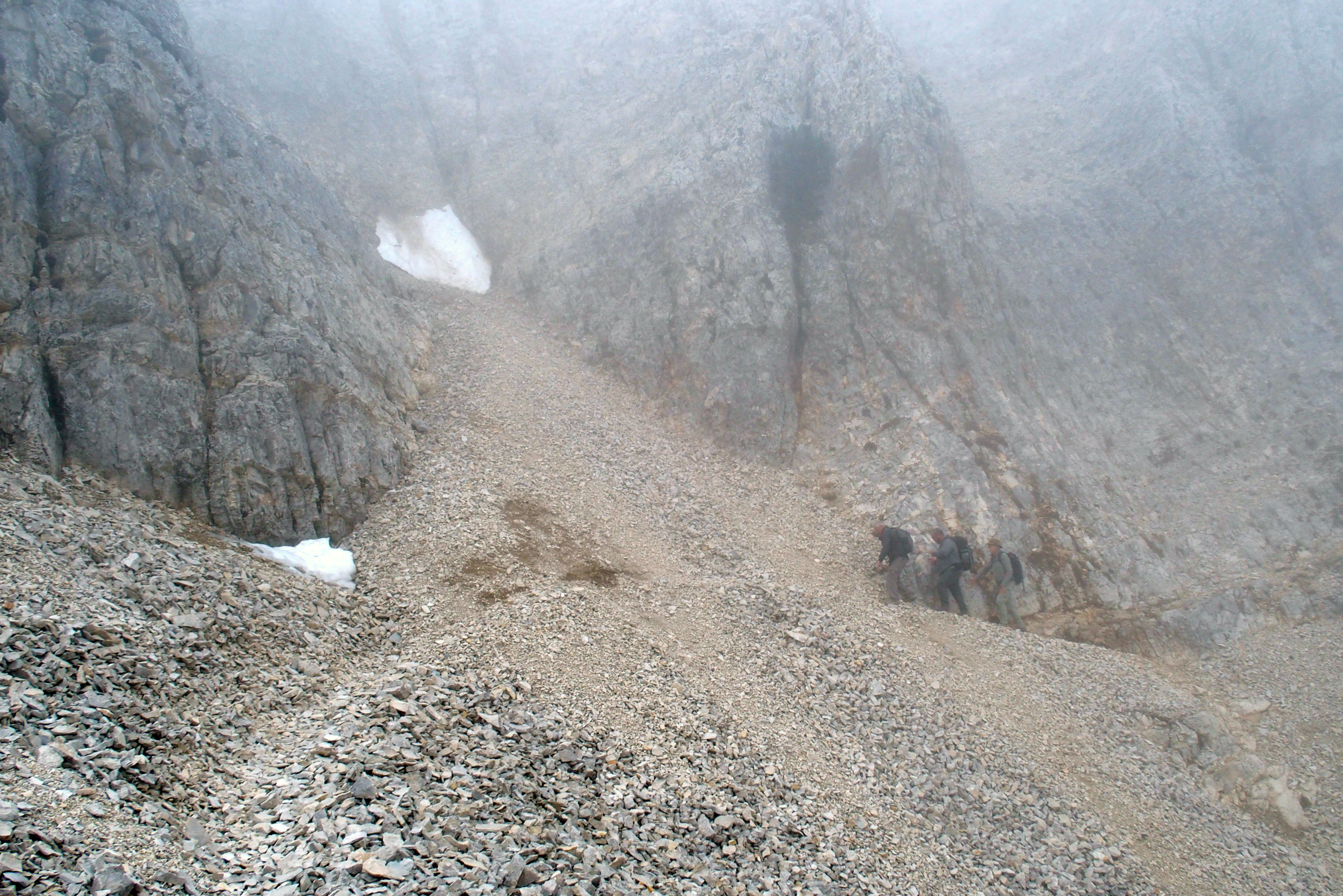 P4290379