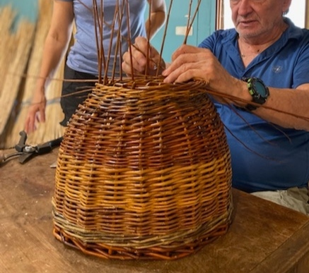 IMG 20220731 140824