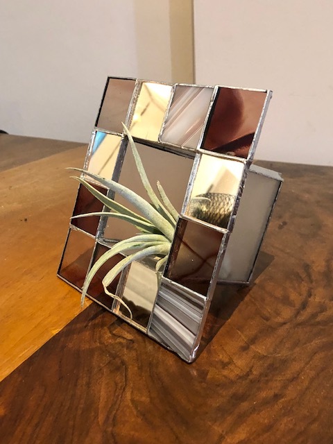 5 contenants pour plante aerienne la dame de verre montelimar france