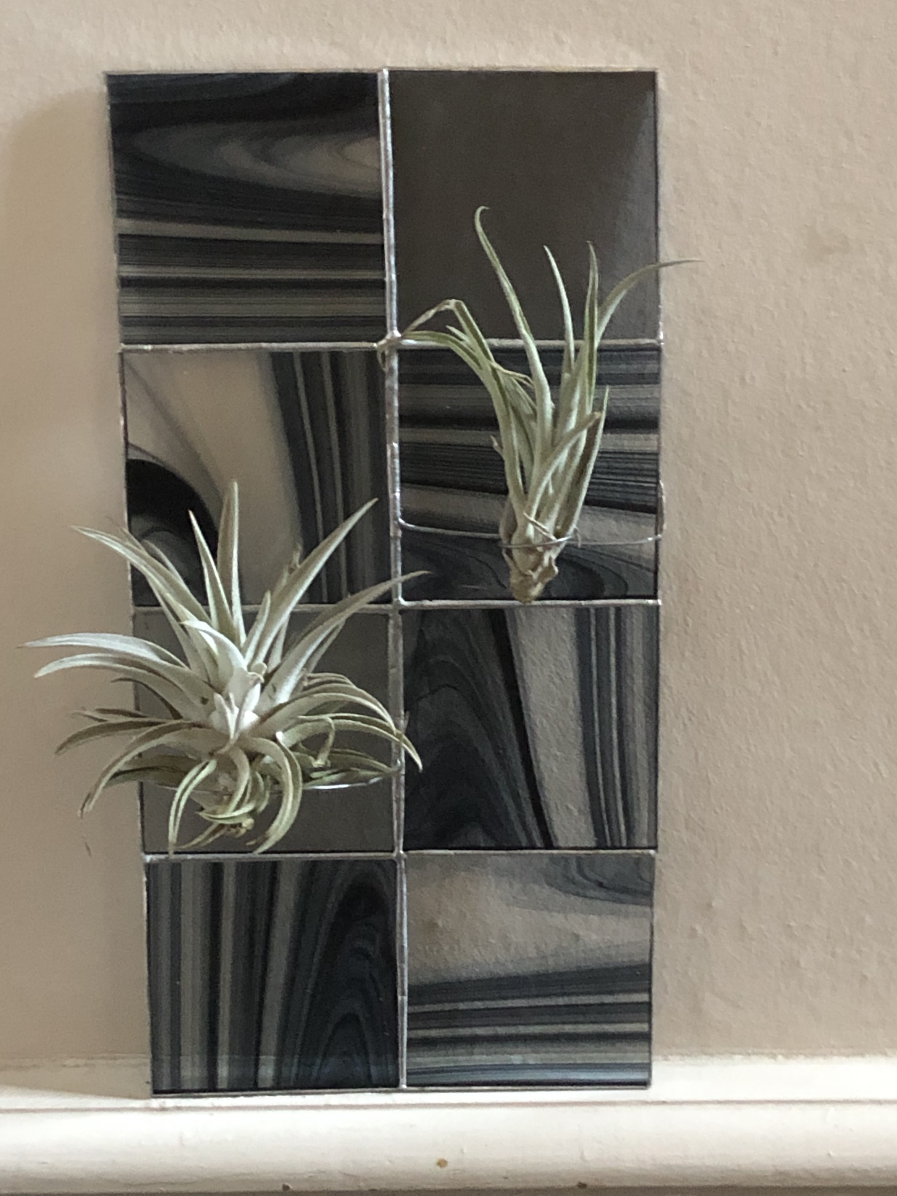 3 support pour plantes aeriennes la dame de verre montelimar france