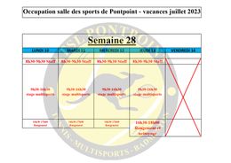 Planning-Occupation-salle-stage-juillet-2023-semaine-28- page-0001