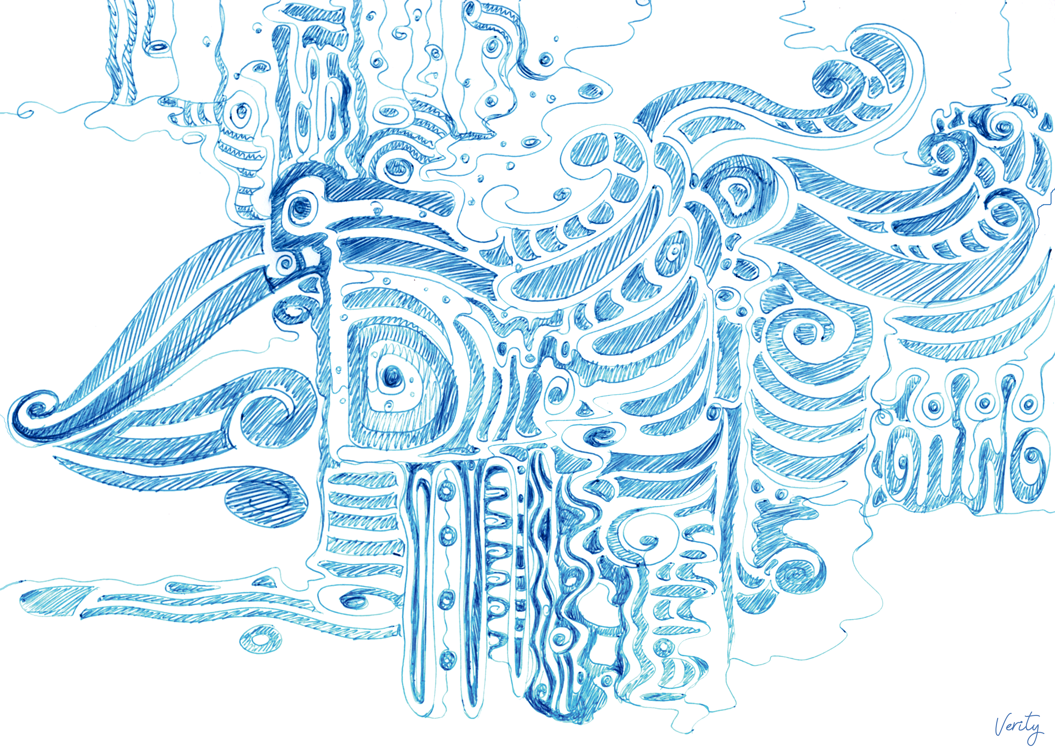 Dessin nautil