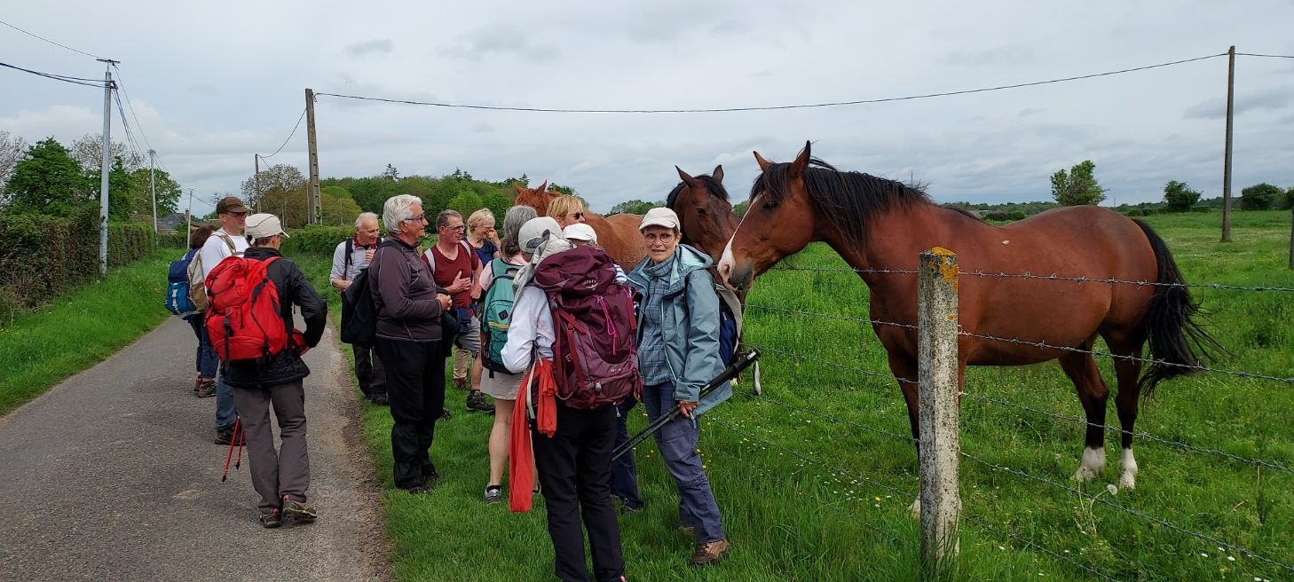 Sortie mensuelle bernay 08 05 2023 chevaux