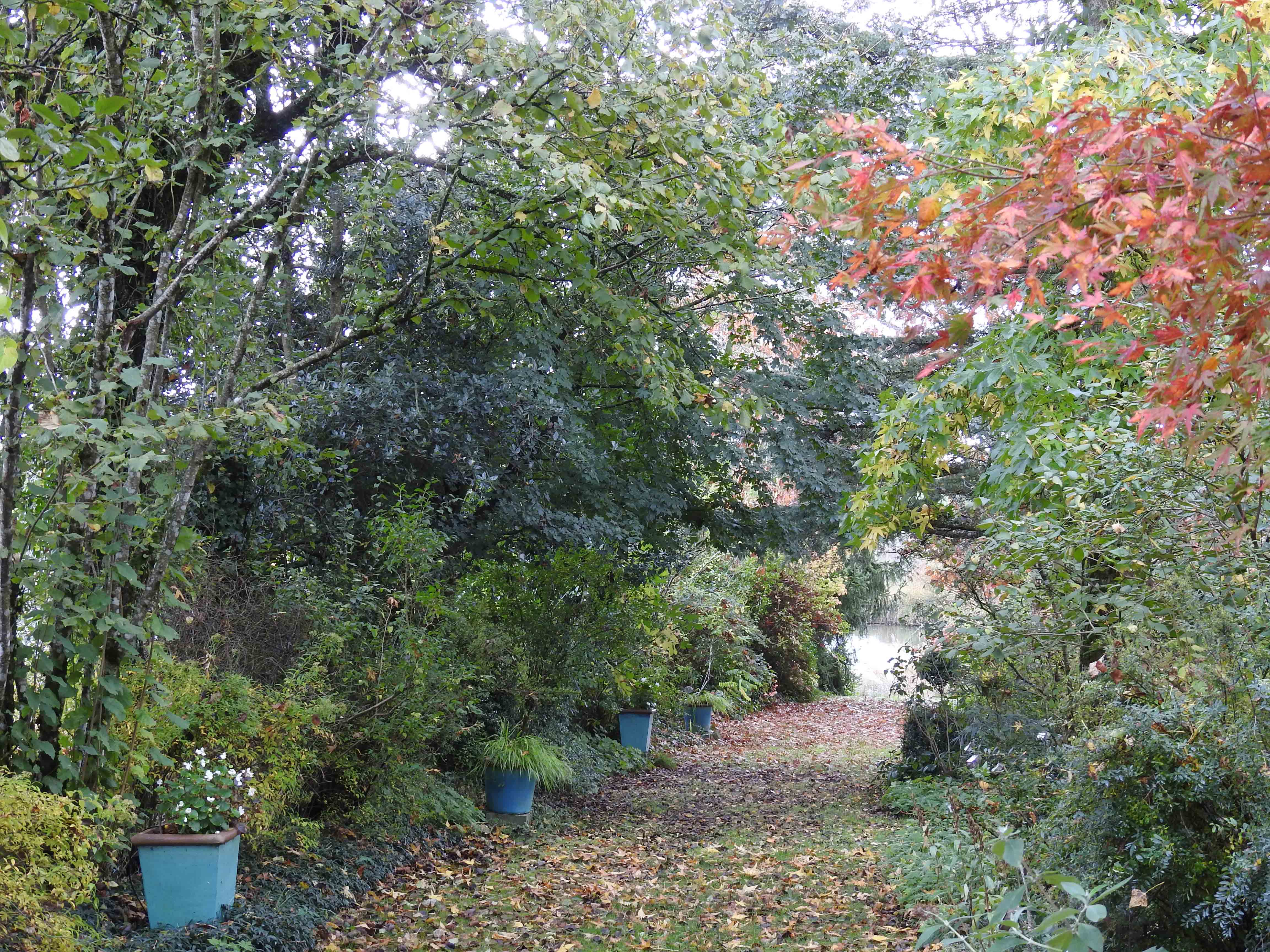 Pots-Bleus-Light-Site