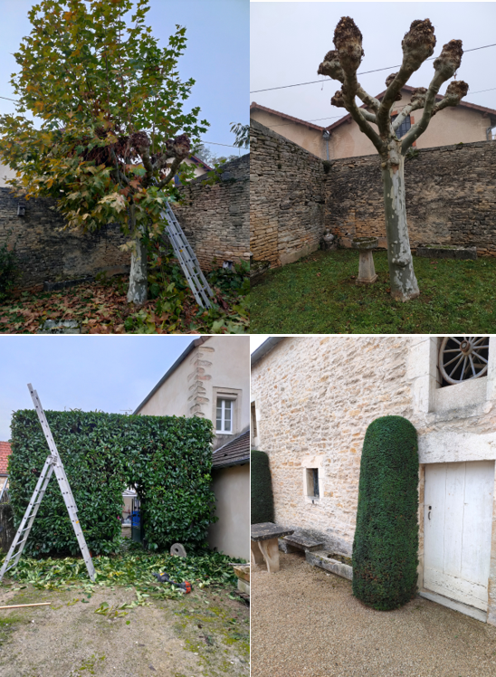 Capture-d-ecran-taille