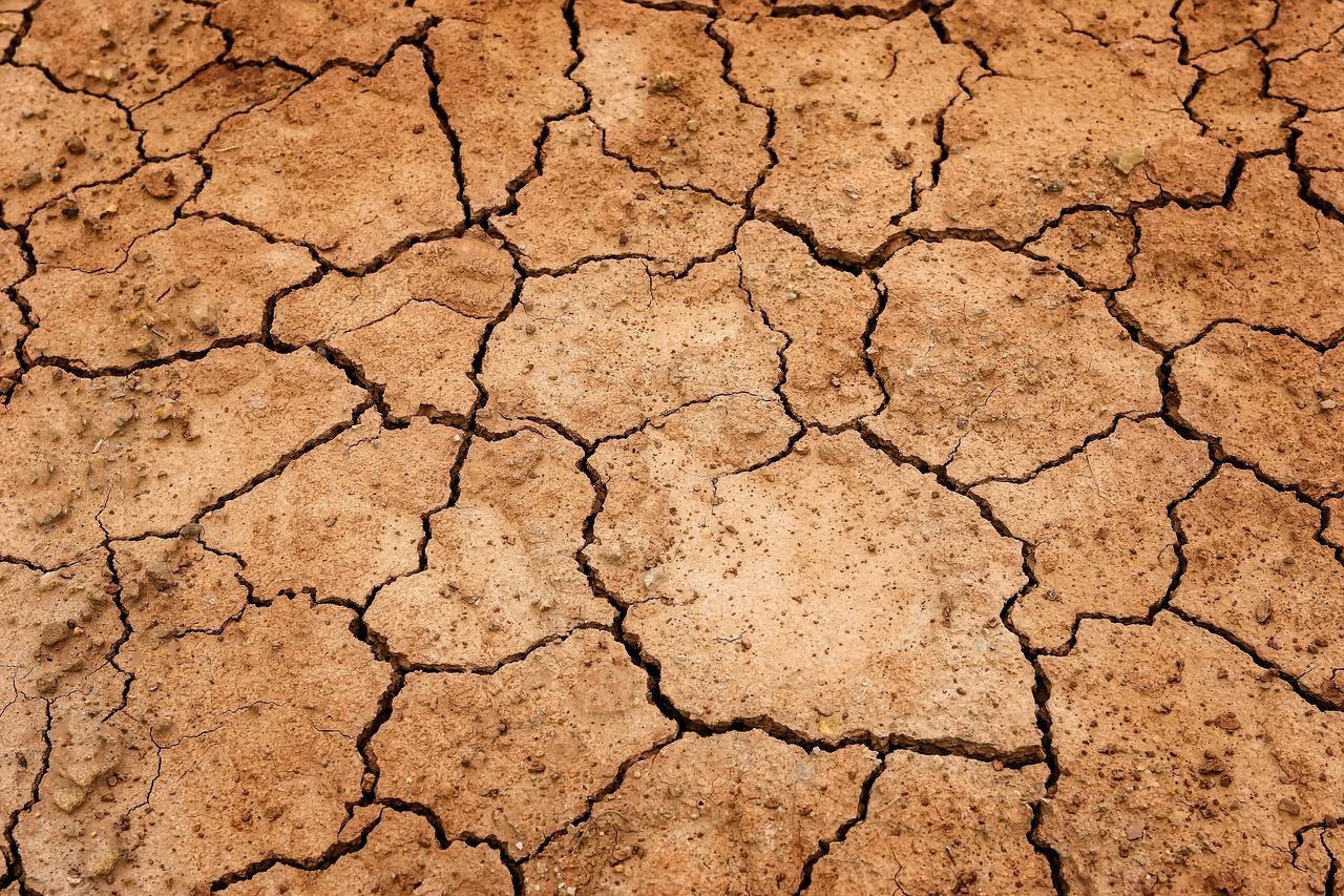 Les maisons en ossature bois : un choix sûr et durable pour les régions à risque sismique.