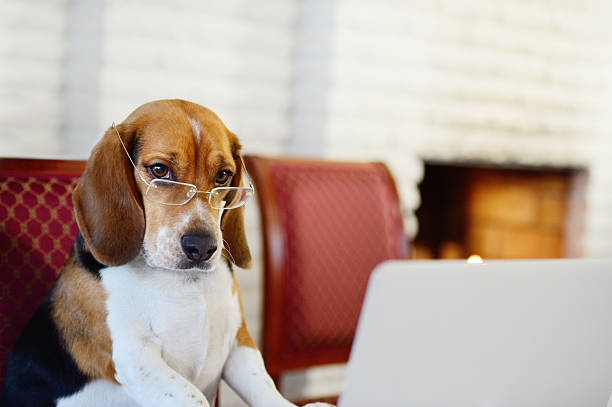 Istockphoto-170462856-612x612