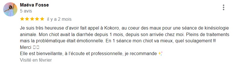 Avis-Google-Maeva-Fosse