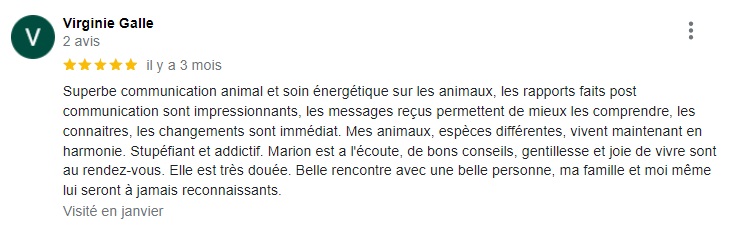 Avis-Google-Virginie-Galle