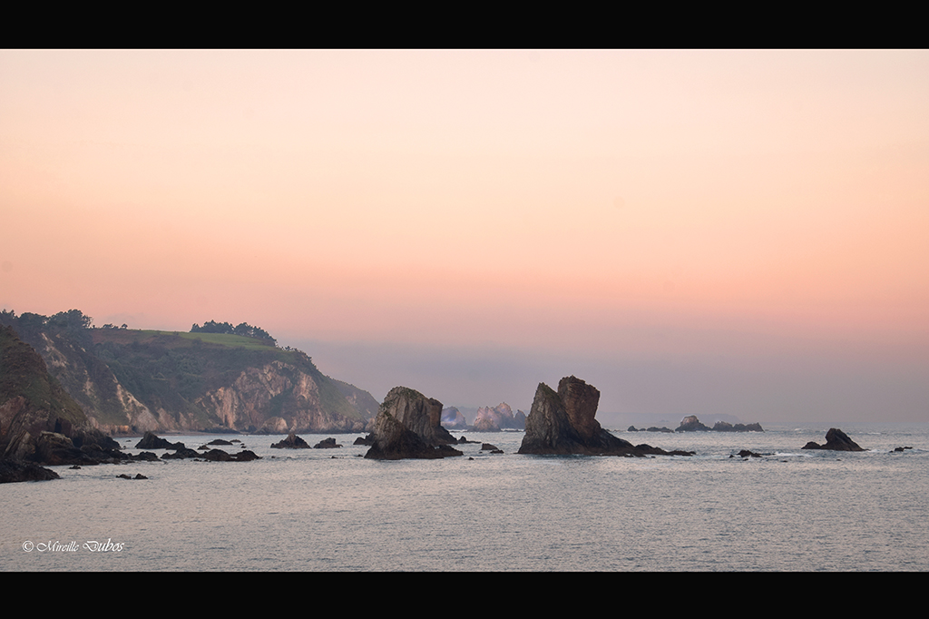 Dsc 0783 a