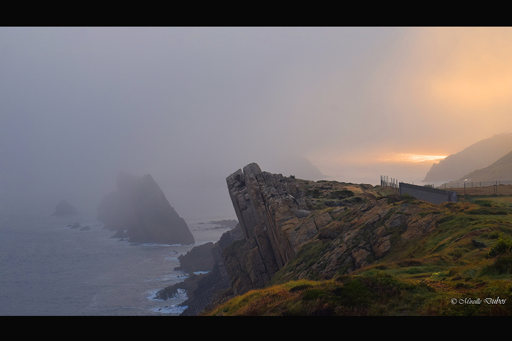 Dsc 0091 v