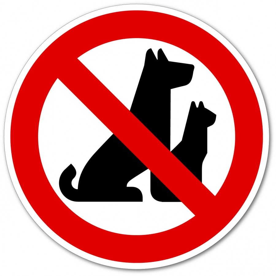 Chien-no