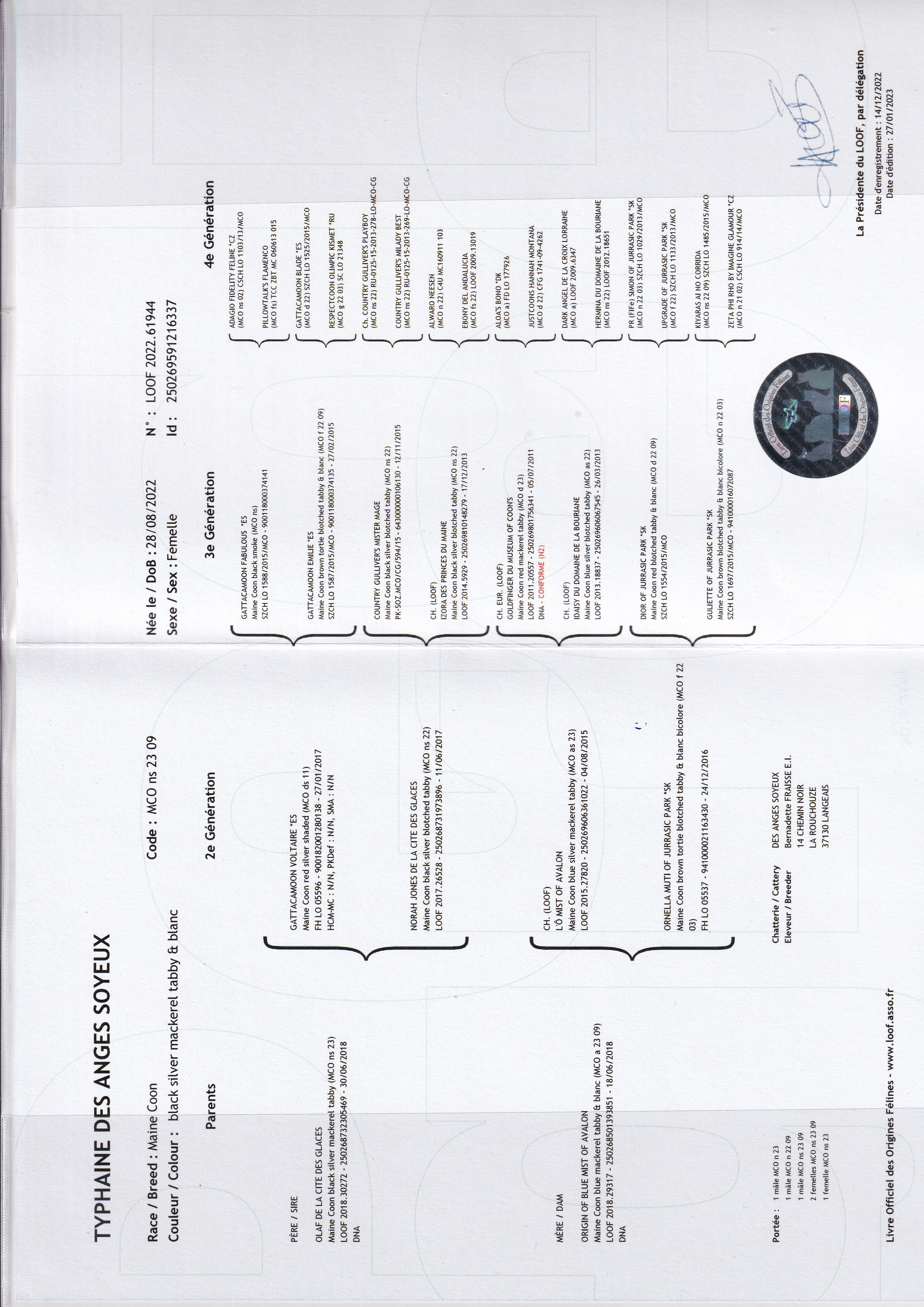 Ped-Typhaine-2