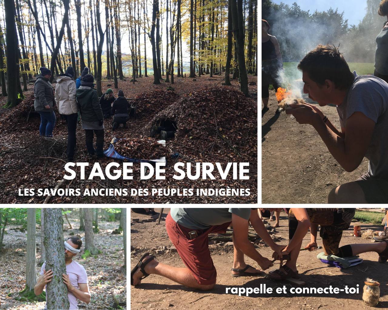 STAGE DE SURVIE