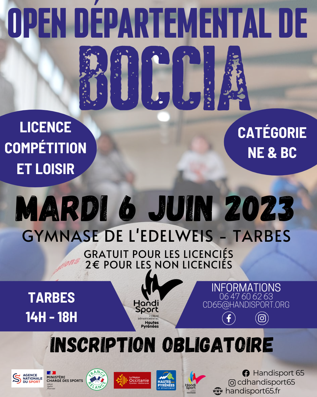 Open Départemental de Boccia