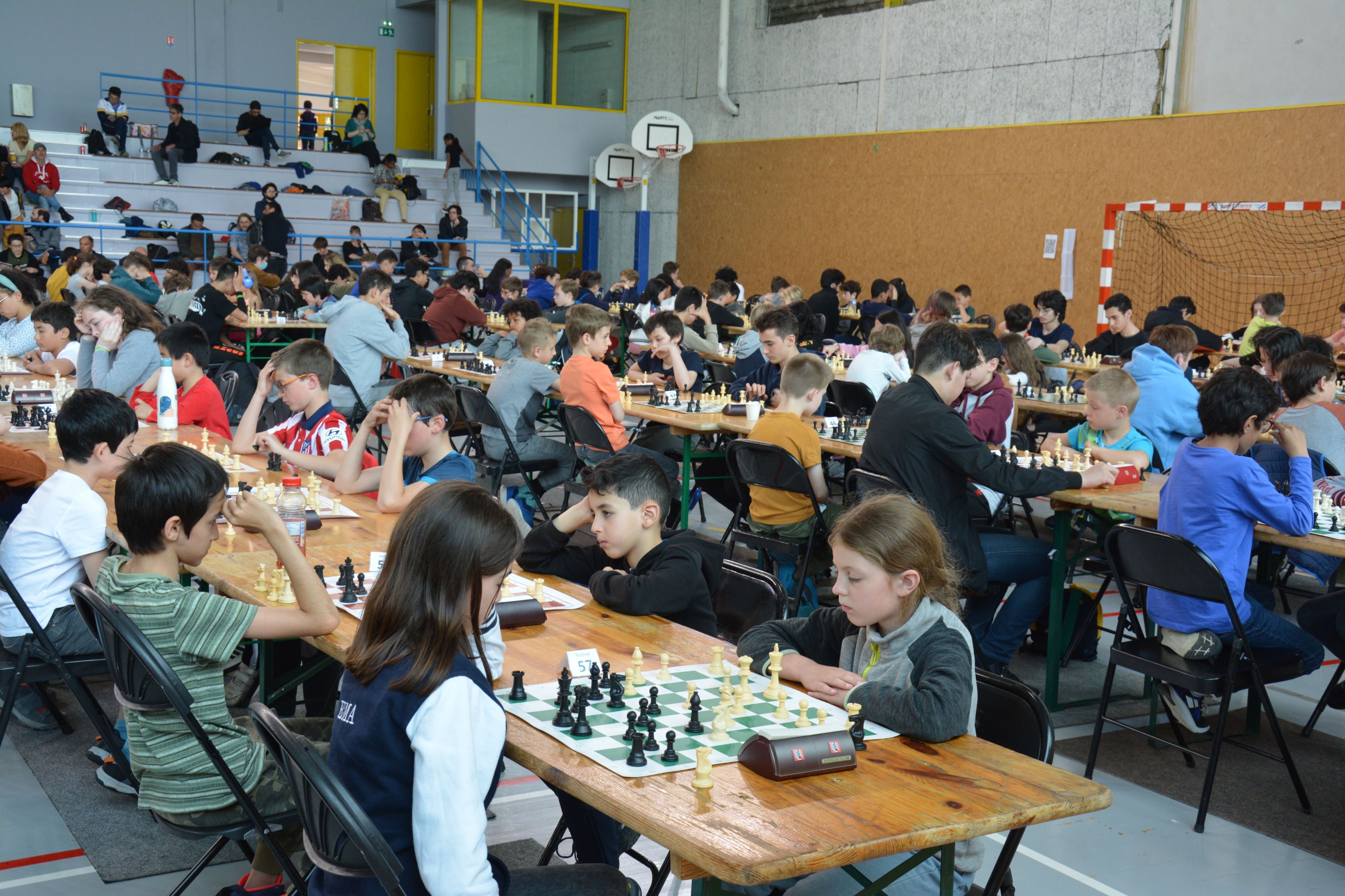 Dsc 0276 4k