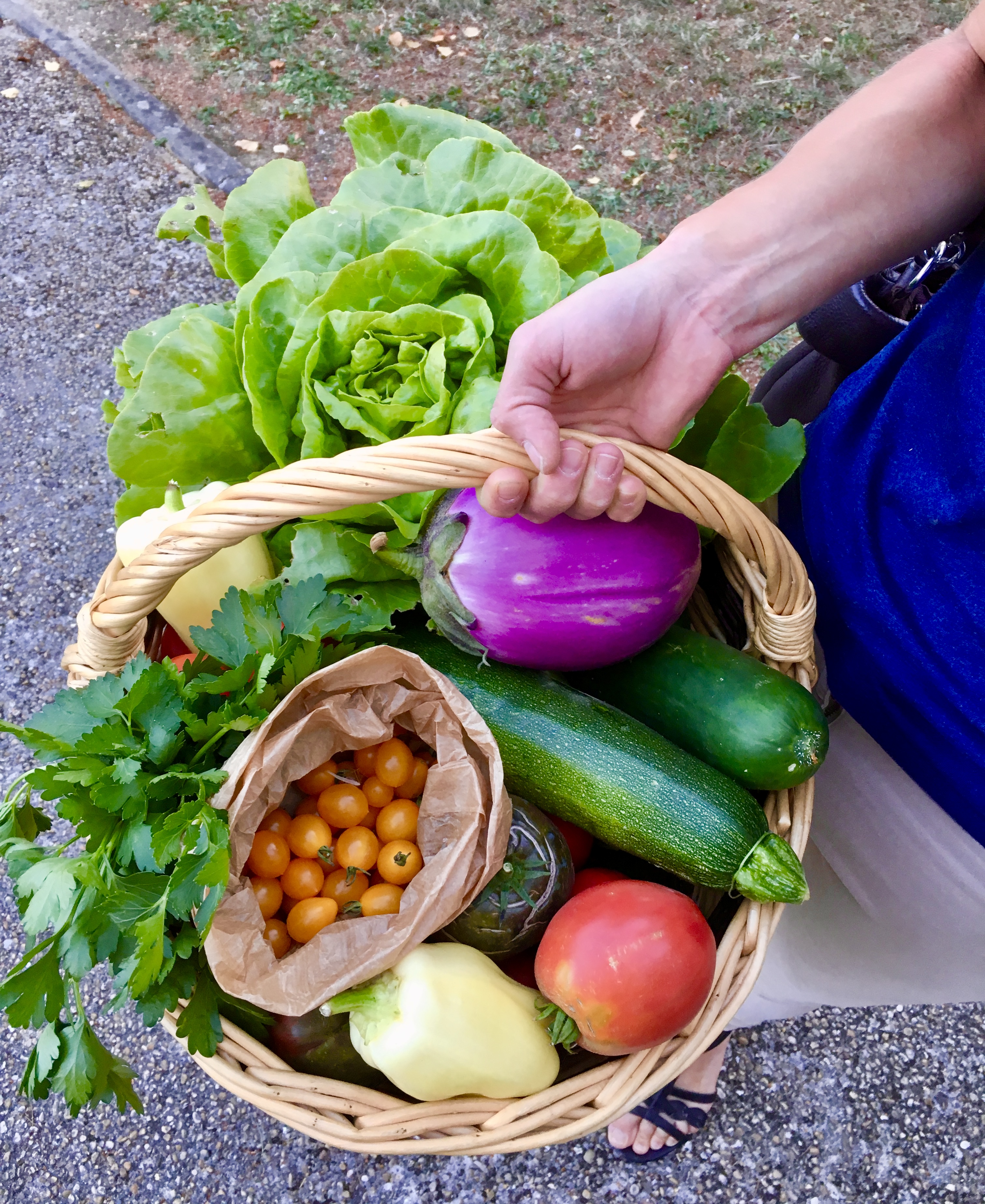 Panier de légumes frais bio et locaux, Marcoussis