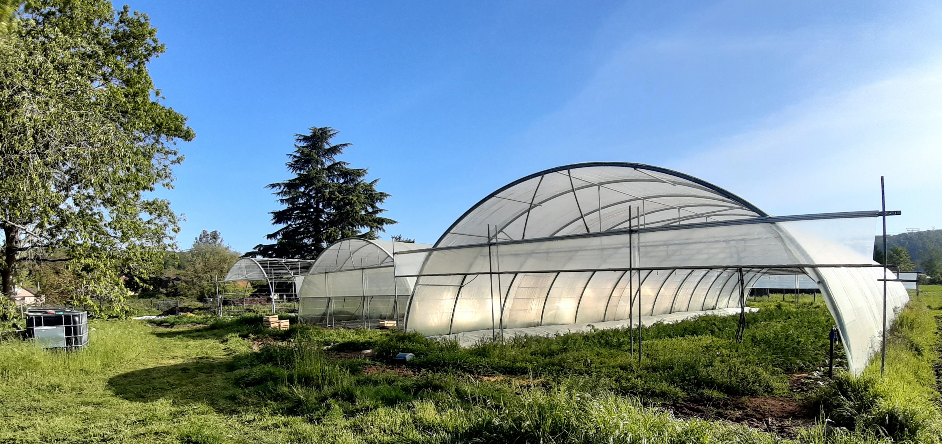 Serres de culture, gaec de la Ronce, producteur de légumes bio à Marcoussis