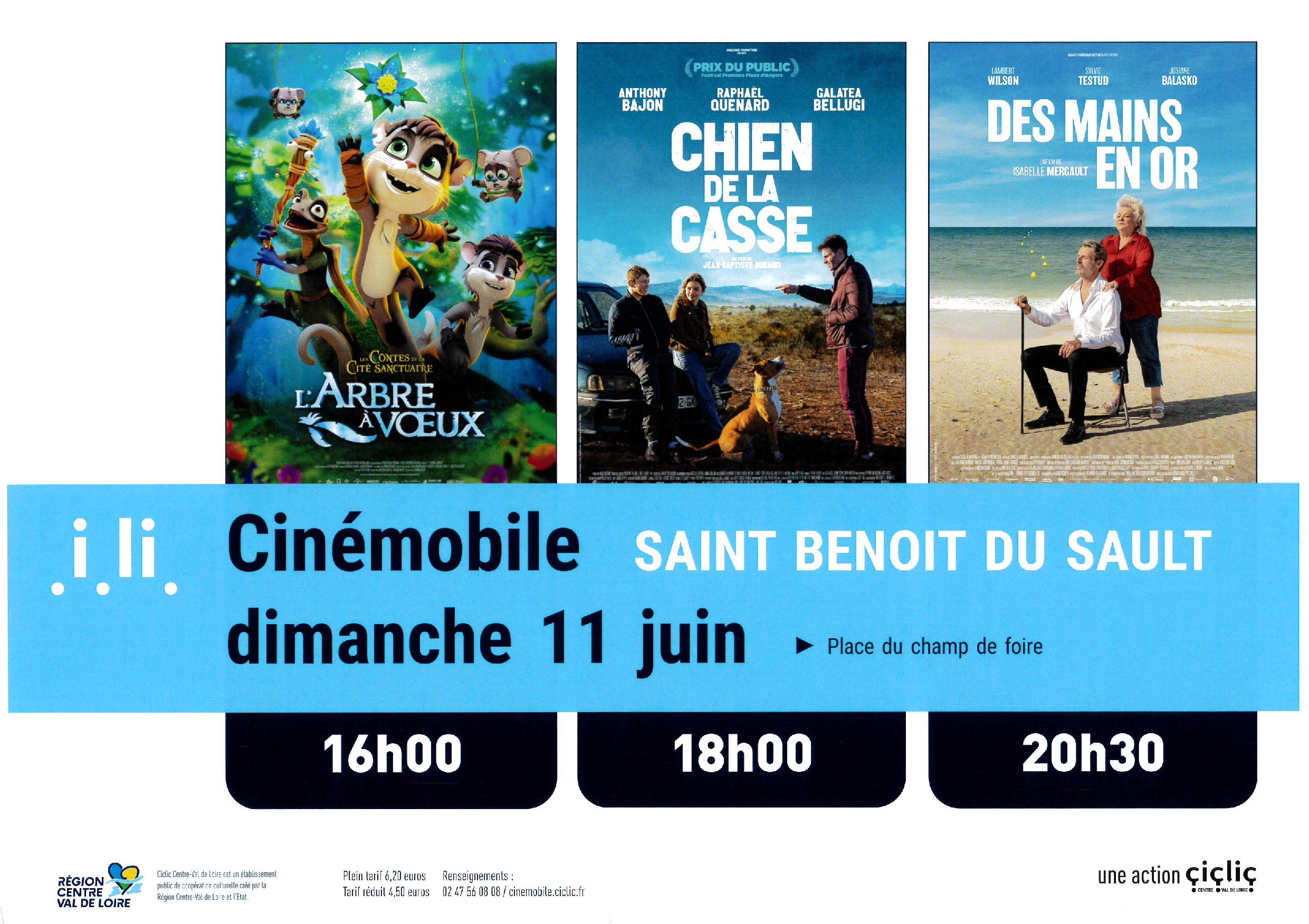 Affiche-cinemobile-7-page-001