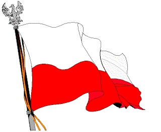 Polish-flag-23