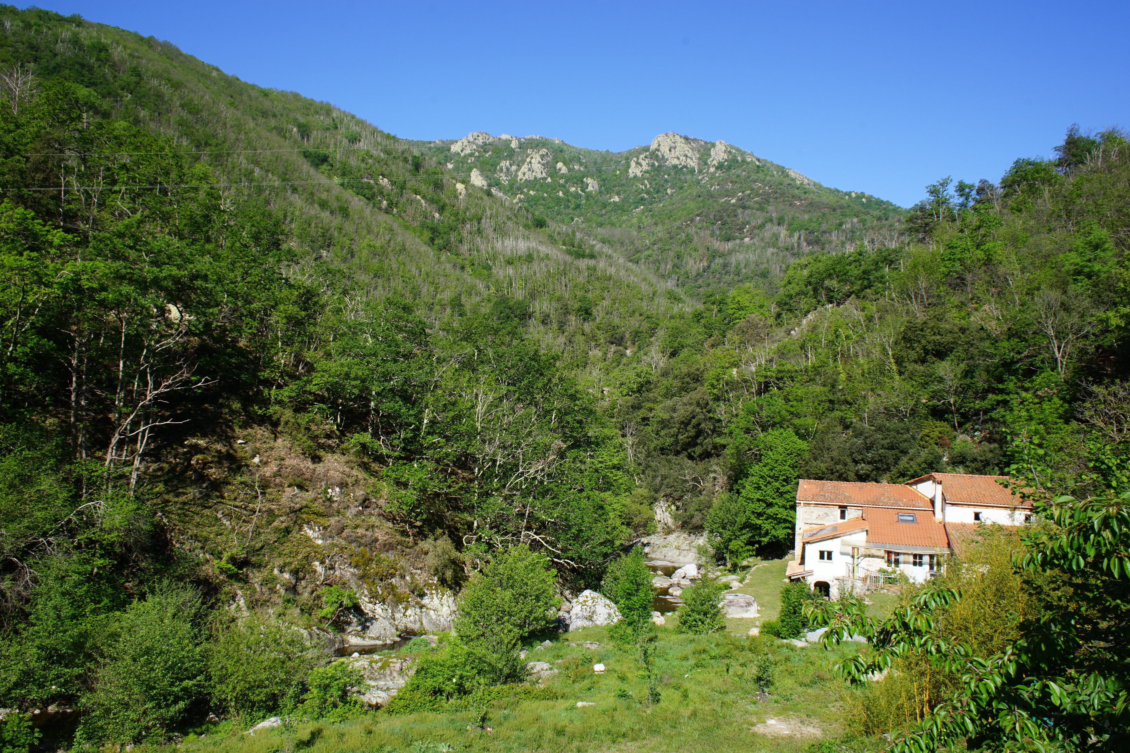 DSC09308