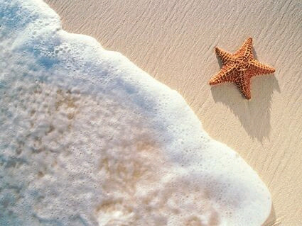 Lundi 5 mai 2025 Installation et goûter sur la plage