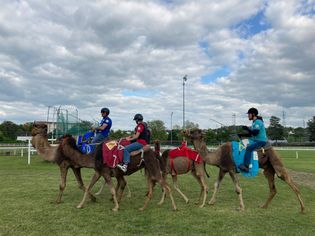 courses de  chameaux dromadaires France 2023 AVEC DROMADAIRE PICARDIE ET JOCKEYS DE  DROMAS  DE L EQUIPE DE FRANCE
