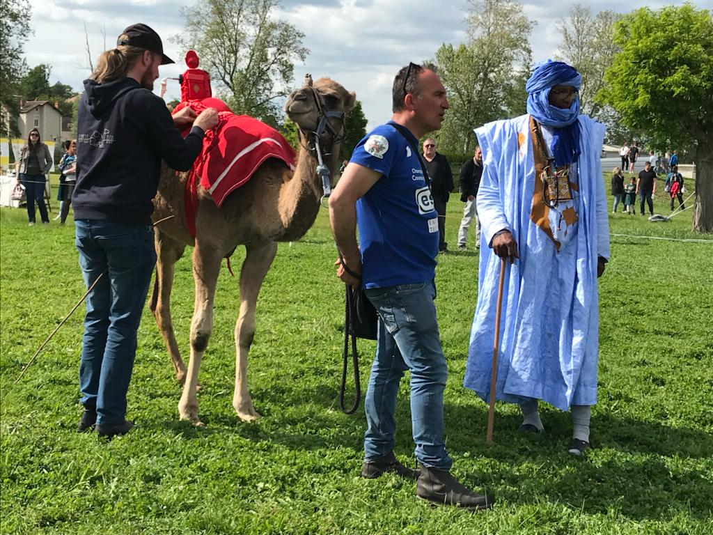 le dromadaire et des actions multiculturelles France belgique Mauritanie Moyen Orient HISTOIRE DE CHAMEAU AVEC LA FEDERATION FRANCAISE DES CHAMEAUX