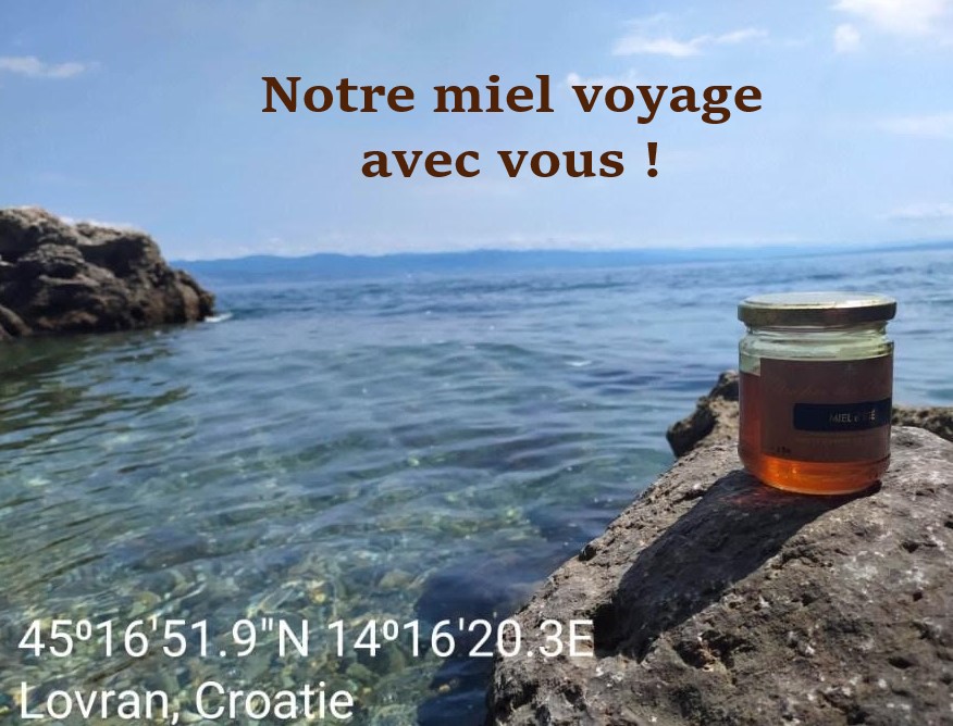 Miel croatie