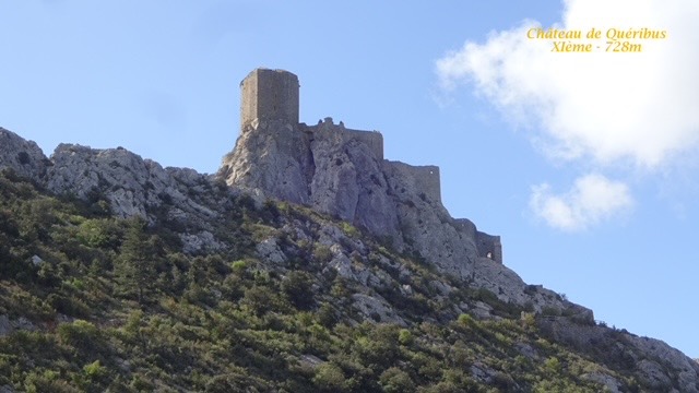 Img 0610