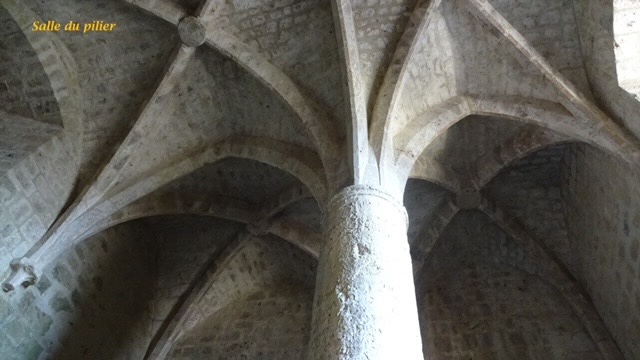 Img 0612