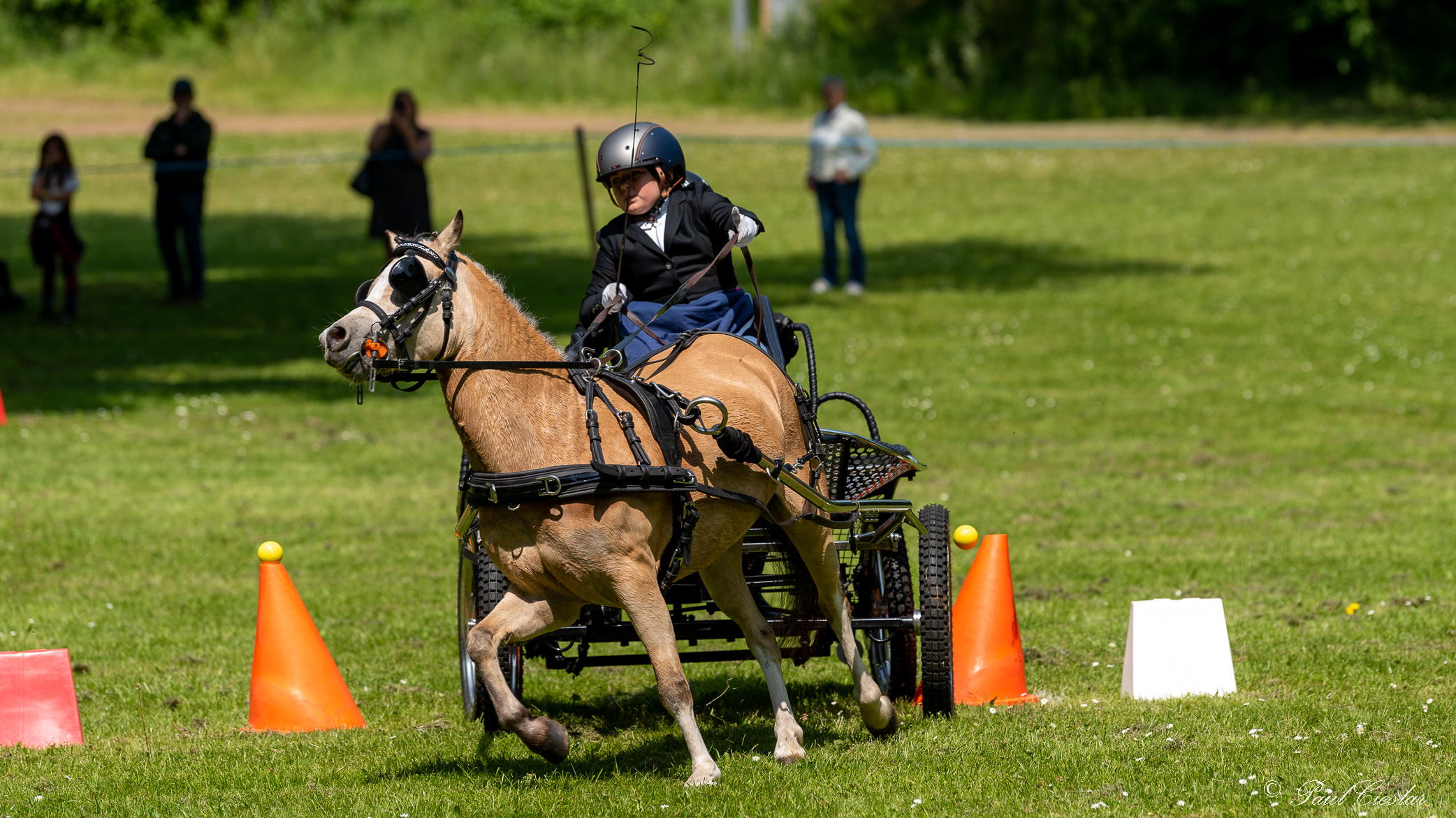 Pic 6277