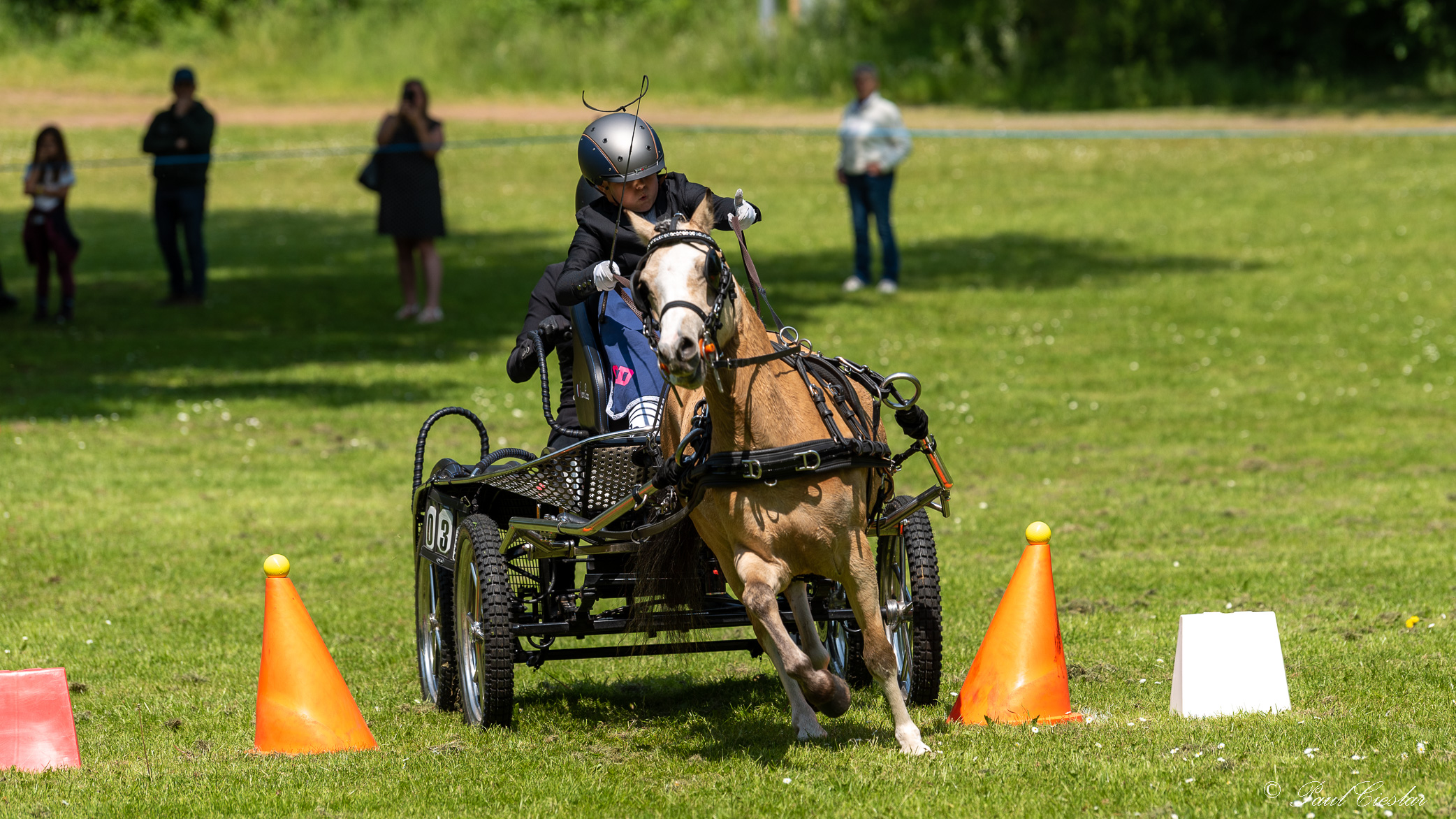 Pic 6276