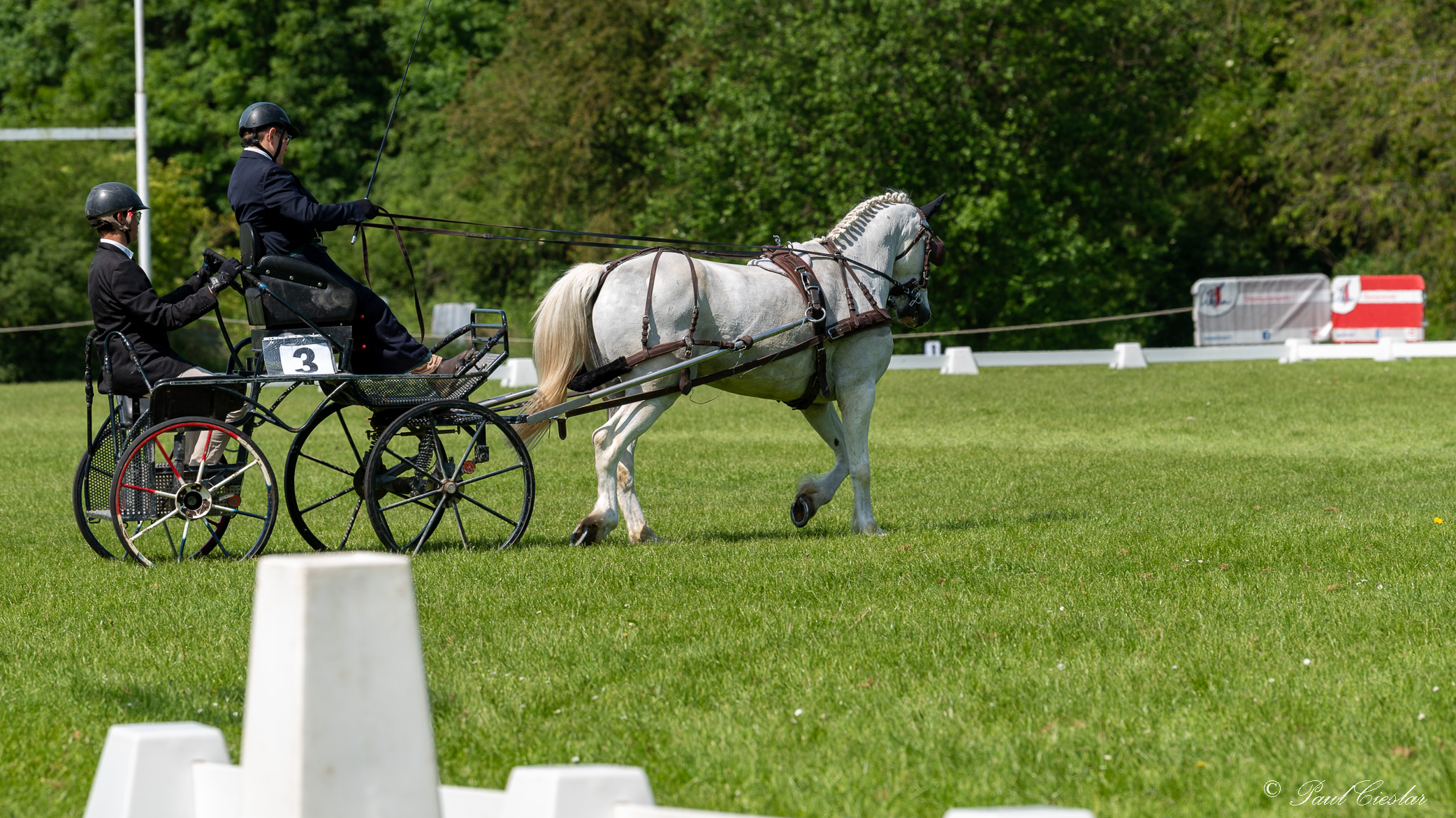 Pic 6265
