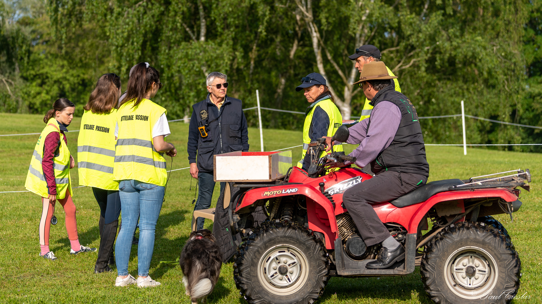 Pic 6373